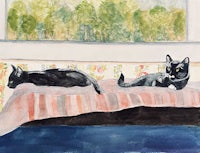 two black cats laying on a bed in front of a window